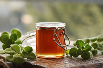 A jar of Plectranthus or Coleus amboinicus syrup for common cold
