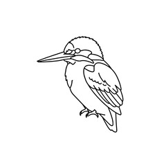 Obraz premium Cute Nuthatch Bird Line Art | Black and White Vector Coloring Design