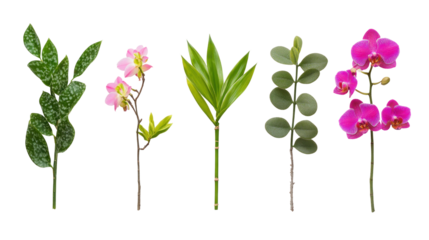 A vibrant arrangement of assorted flowers and leaves, showcasing their colors and textures against a neutral backdrop