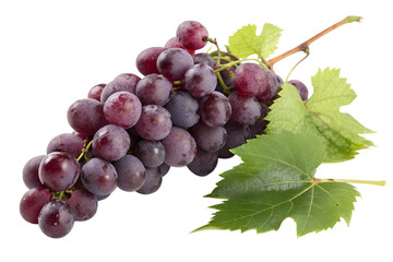 Fototapeta premium purple grapes on transparent background