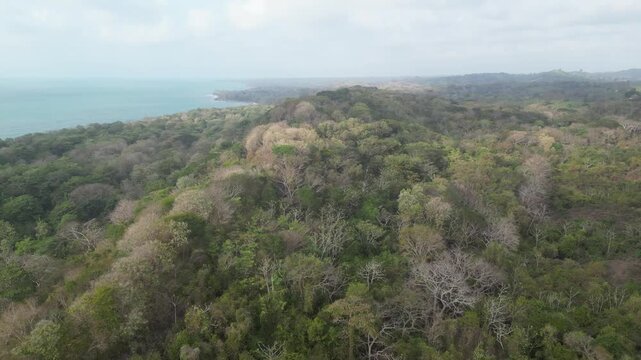Playa del Mar Caribe con bosque seco tropical paisaje mar azul