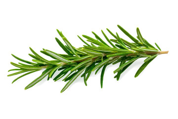 Fototapeta premium Rosemary twig isolated on a transparent background background. Fresh rosemary leaf branch. Herbal spices, hair care, healthy food, cooking design elements. cut out, PNG, top view / flat lay 