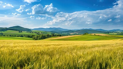 Obraz premium A large field of green grass with a few trees in the background