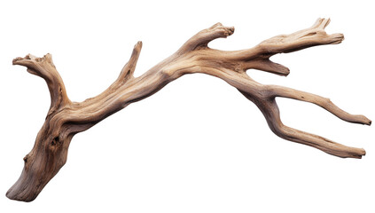 Fototapeta premium a natural piece of driftwood showcasing intricate textures and shapes ideal for decorative purposes in home decor or as a unique art piece