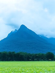 Fototapeta premium Verdant meadow against a stunning mountain vista under a cloudy sky