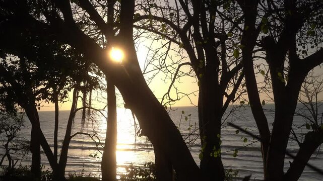 Playa del Mar Caribe con bosque seco tropical paisaje mar azul