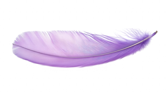 purple feather rests against a white background showcasing its soft texture and vibrant color symbolizing beauty and lightness