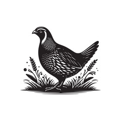 Black Color Quail Silhouette Vector Illustration, Solid White Background