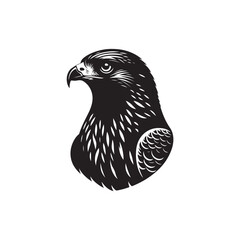 Black Color Red-tailed Hawk Silhouette Vector Illustration, Solid White Background