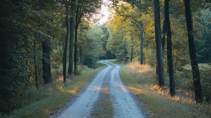 Obraz premium Winding Dirt Road Through A Lush Green Forest