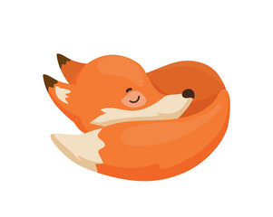 Cozy Sleeping Fox