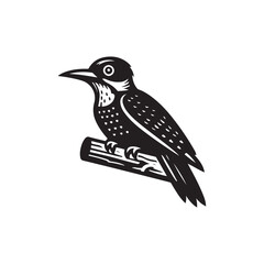 A vector illustration of a Woodpecker, perfect for wildlife designs, nature projects, and bird illustrations. Ideal for educational materials and creative work showcasing this unique bird species.