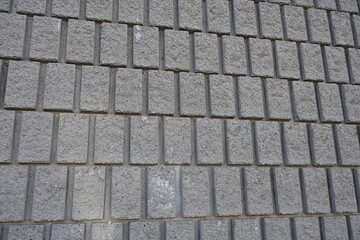 bench in the park near the lake