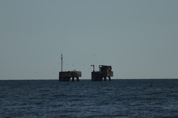 DESEMBOCADURA DEL RIO GUADALHORCE. MALAGA. ESPAÑA. 