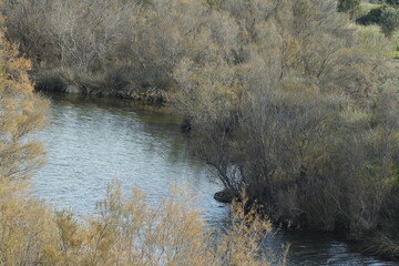 DESEMBOCADURA RIO GUADALHORCE. MALAGA. ESPAÑA. 