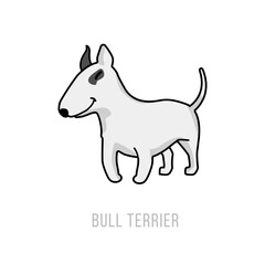 Bull Terrier Illustration