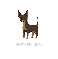 Russian Toy Terrier Illustration
