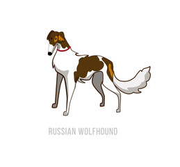 Cartoon Russian Wolfhound Illustration