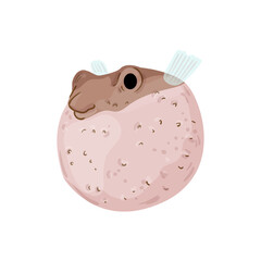 Vector illustration of a light pink pufferfish with brown spots.