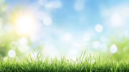 Obraz premium Lush green grass against a sunny blue sky with bokeh background.