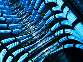Intricate Network Cabinet with Blue Cables and Organized Wiring Layout