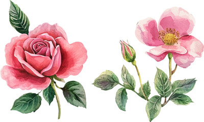 Fototapeta premium bouquet of pink roses