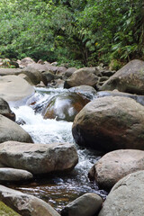 Feel the freshness of the Bras David river as it dances over stones in the heart of Guadeloupe’s wild nature. A calming, grounding image full of tropical energy.