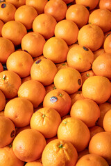 fresh oranges in a market