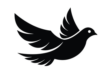 Dove vector icon on white background