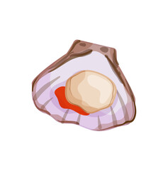 Vector illustration of an oyster shell.