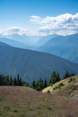View from the Hurricane Ridge in Olympic National Park, WA