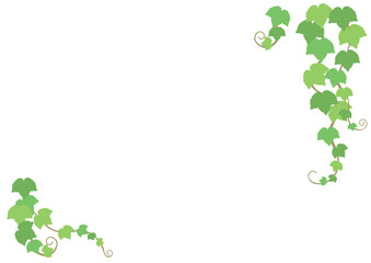 右上左下を飾るツタの葉のベクターイラスト