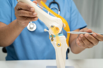 Asian doctor holding spinal nerve and bone model, Lumbar spine displaced herniated disc fragment...
