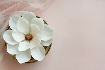 A pristine white magnolia flower rests on a round golden base against a subtle pink backdrop, evoking a sense of calm and elegance. Soft textures blend beautifully to enhance the floral detail.