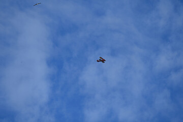 Airplane in the sky  and landscape