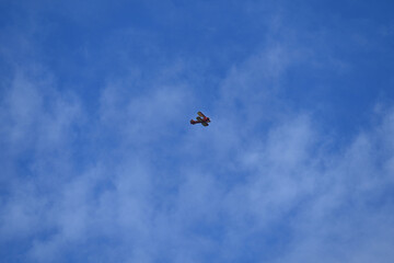 Airplane in the sky  and landscape