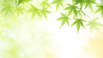 Naklejka premium Fresh green spring leaves on young tree branches with soft natural light. Close-up of tender buds and vibrant foliage in a blurred forest background. Bright and warm nature concept.