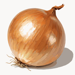 onion isolated 