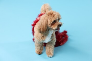 Cute dog with shiny tinsel on light blue background