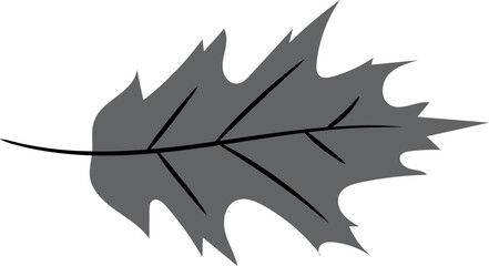 Naklejka premium Hand Drawn Stylized Leaf Illustration