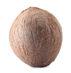 One whole coconut in shell isolated on white