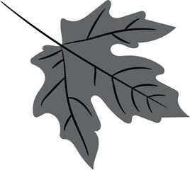 Hand Drawn Stylized Leaf Illustration