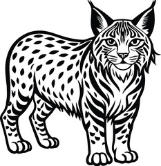 Fototapeta premium silhouettes of bobcat, wildcat bobcat line art silhouette vector illustration