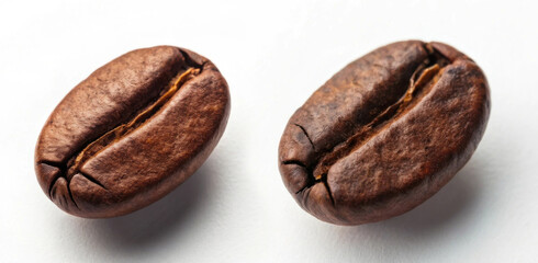 Roasted Coffee Bean on White Background