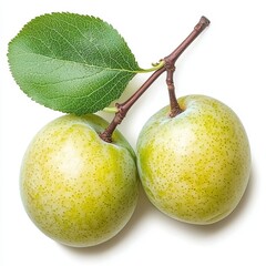 Two Ripe Green Plums with Stem and Leaf on White Background