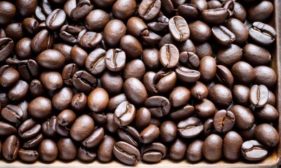 Fototapeta premium Dark Brown Glossy Roasted Coffee Beans Close Up