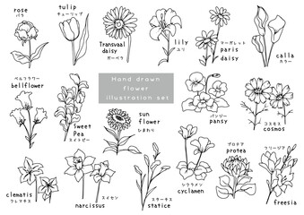 手描きのかわいいお花セット