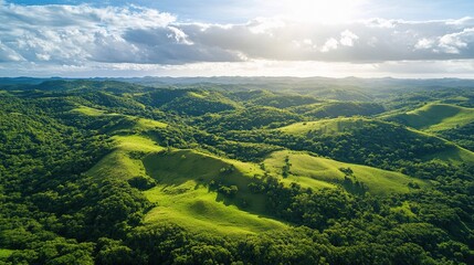Fototapeta premium High Angle Aerial Shot of Lush Green Landscape Under Bright Sky