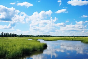 Marsh sky landscape outdoors.