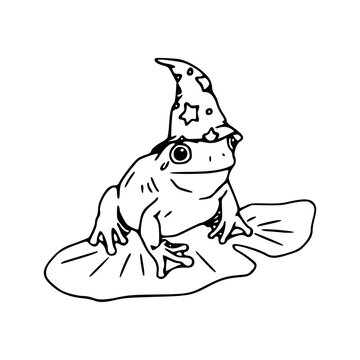 recommend clip art: wizard frog on lily pad vector